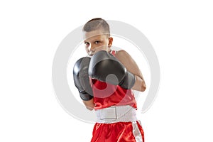 Portrait of active boy, beginner boxer in sports gloves and red uniform isolated on white background. Concept of sport