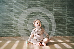 Portrait of adorable baby sitting on the floor