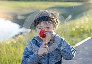 Portrait of adorable boy smelling flower, Candid shot child Smell sensory learning from poppy, Kid explorer and learning about