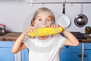 Portrait of adorable cute child girl biting big vegetable corn, standing in modern kitchen, healthy nutrition without GMOs. indoor