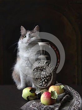 Portrait of adorable kitty on a black background