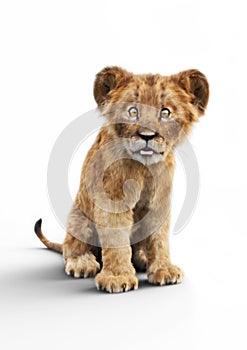 Portrait of a adorable lion cub sticking his tongue out on a white background. Humorous wildlife