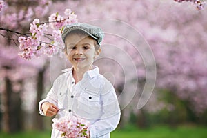 Portrait of adorable little boy in a cherry blossom tree garden,