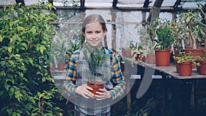 Portrait of adorable small girl in apron standing inside greenhouse, holding pot plant, smiling and laughing. Orcharding