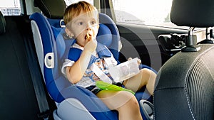 Portrait of adorable toddler boy sitting in child car safety seat and eating cookies