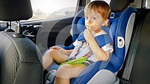 Portrait of adorable toddler boy sitting in child car safety seat and eating cookies