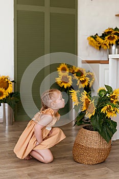 Portrait of adorable toddler girl and sunflower. Cute child having fun with big blooming flowers.