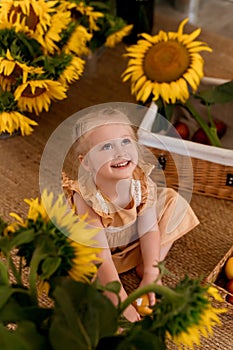 Portrait of adorable toddler girl and sunflower. Cute child having fun with big blooming flowers.