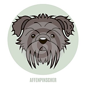 Portrait of Affenpinscher