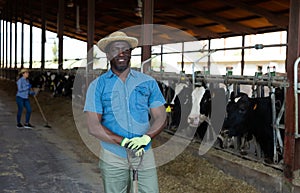 Portrait of an african american male farmer standing in a cowshed