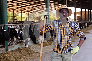 Portrait of a african american male farmer standing in a cowshed