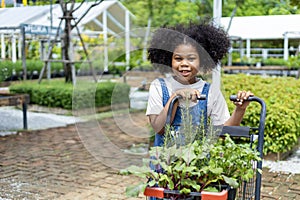 Portrait of African kid is choosing vegetable and herb plant from the local garden center nursery with shopping cart full of