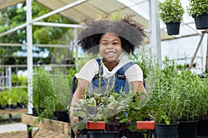 Portrait of African kid is choosing vegetable and herb plant from the local garden center nursery with shopping cart full of