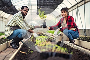 Portrait of African man and wife teaching the children to plant seedlings in greenhouse