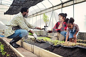 Portrait of African man and wife teaching the children to plant seedlings in greenhouse