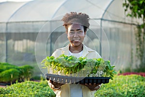 Portrait of an african worker in the nursery Happy in the greenhouse
