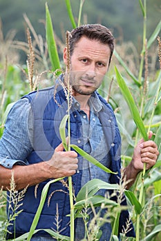 Portrait of agronomist photo