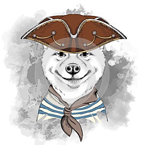 Portrait of the akita inu dog in a pirate hat. Vector illustration.