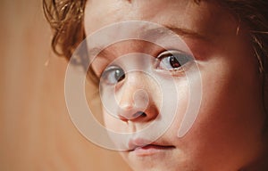 Portrait of a amazed surprised child boy. Close up caucasian kids face. Closeup head of funny kid. Big eyes.