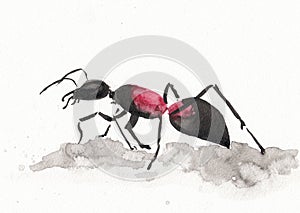 Portrait of ant closeup. Hand drawn in china ink and watercolor on paper texture