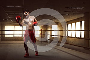 Portrait of asian boxer performing uppercut on the boxing ring photo