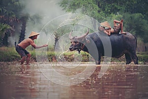 Portrait of Asian boy enjoying playing the with buffalo. Farmer