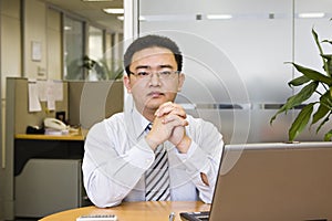 Portrait of asian business executive