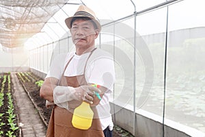 Portrait of Asian elderly man holding plastic foggy bottle, ready to spray liquid water fertilizer plants. Senior gardener caring