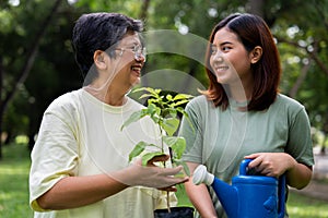 Portrait, Asian family mom and daughter plant sapling tree outdoors in nature park, Concept of happy retirement With care from a