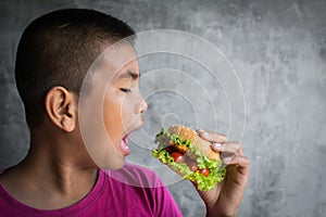 Portrait Asian fat boy enjoy eating with hamburger