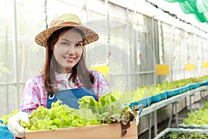 Portrait of an Asian female farmer Holding a wooden crate of green lettuce