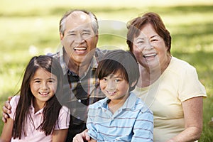 Portrait Asian grandparents and grandchildren in park