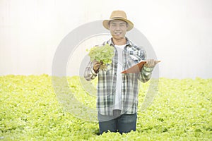 Portrait of asian man farmer hand hold green lettuce with document file standing in greenhouse organic farm with happy,Small
