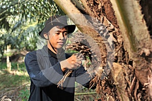 Portrait asian traditional farmer clean oil palm trunk from weeds