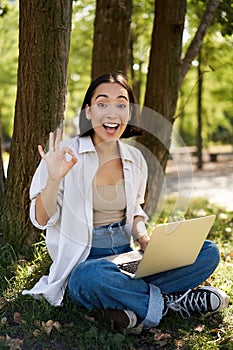 Portrait of asian young woman, student doing homework, working in park, sitting beside tree with laptop and showing okay