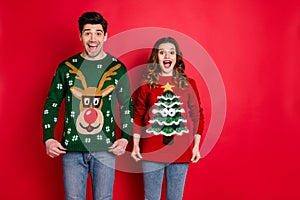 Portrait of astonished two people wife with brunette hair scream wow enjoy deer christmas pattern fashion jumper wear