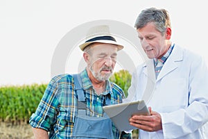 Portrait of Attractive Crop scientist wearing lab coat showing digital tablet to senior farmer against corn plant growing in field