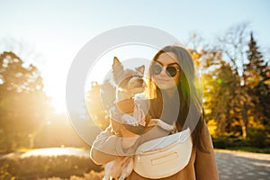 Portrait of an attractive dog-owner female in stylish sunglasses holding her terrier on a sunny day in the park