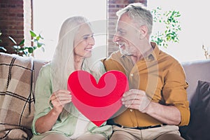 Portrait of attractive elderly cheerful careful affectionate couple sitting on sofa holding heart shape at loft