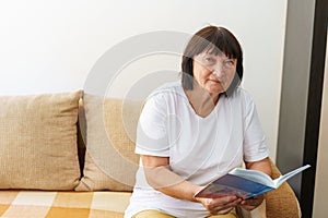 Portrait of attractive focused cheerful woman sitting on sofa reading book