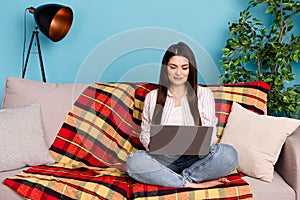 Portrait of attractive focused long-haired girl sitting on divan using laptop eshop isolated on blue color background