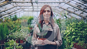Portrait of attractive red-haired woman gardener in apron standing inside large greenhouse and holding pot plant
