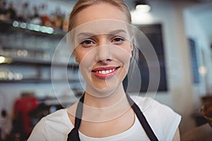 Portrait of attractive waitress at cafe