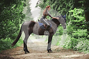 Portrait of attractive woman riding black hanoverian stallion horse