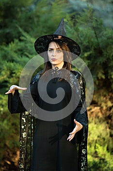 Portrait of an attractive young woman in a black dress with a cape on a background of green forest