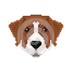 Portrait of a Australian pinscher in pixel art style.