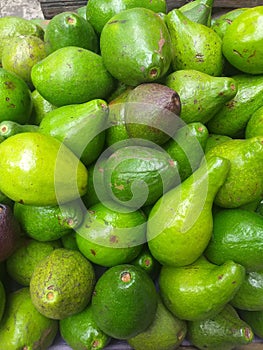 Portrait Avocado in the market