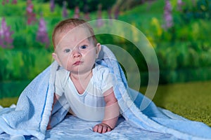 Portrait of a baby in a blue towel.