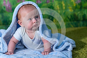 Portrait of a baby in a blue towel.