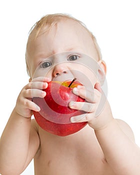 Portrait of baby boy eating apple